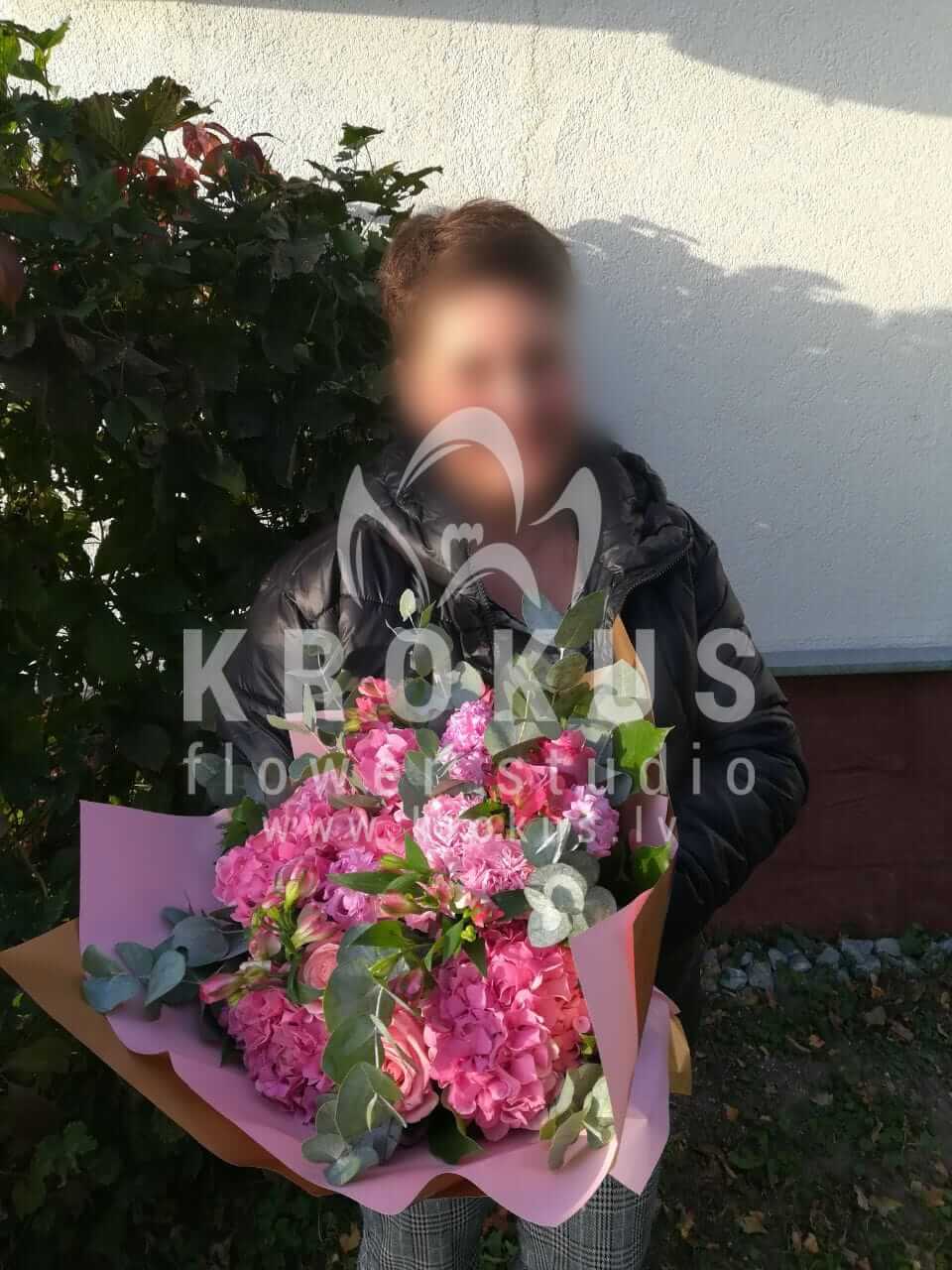 Deliver flowers to Rīga (celosiapink rosesbouvardiahydrangeasgum tree)