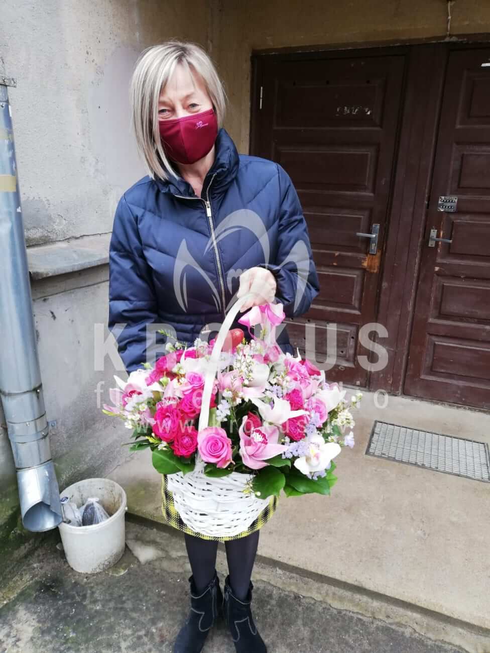 Deliver flowers to Jelgava (shrub rosespink rosesorchidswaxflowerstaticesalal)