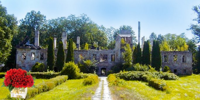 Доставка цветов Ранка (Латвия). Купить цветы в Ранке