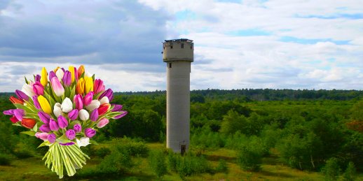 Доставка цветов Скрунде (Латвия). Купить цветы в Скрунде