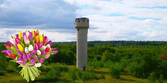 Доставка цветов Скрунде (Латвия). Купить цветы в Скрунде