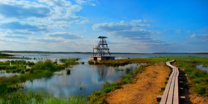 Доставка цветов Энгуре (Латвия). Купить цветы в Энгуре