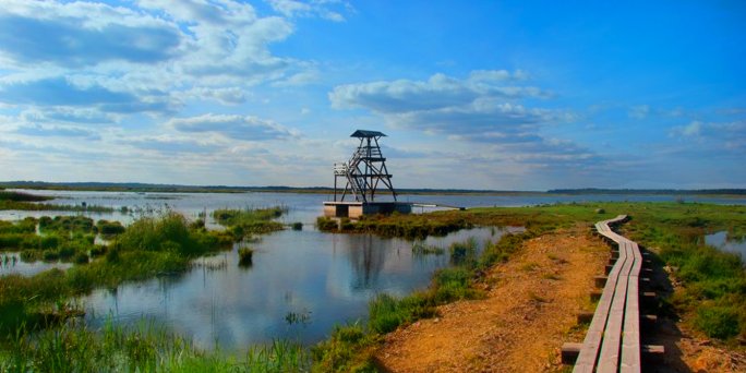 Доставка цветов Энгуре (Латвия). Купить цветы в Энгуре