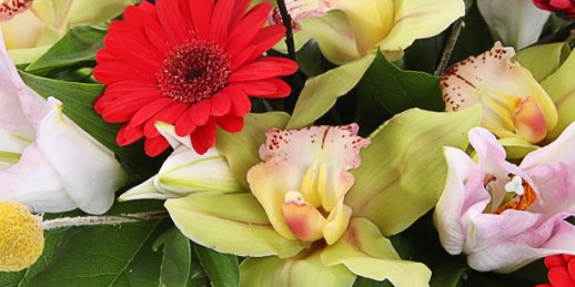 Fast the same day flower delivery. Get a fresh bouquet in 2-3 hours!