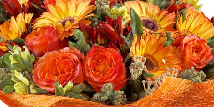 Send birthday flowers online with the help of the service from KROKUS studio.