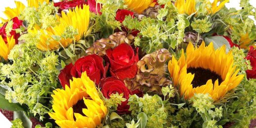 Send flowers for birthday online. Order online flowers at a good price.