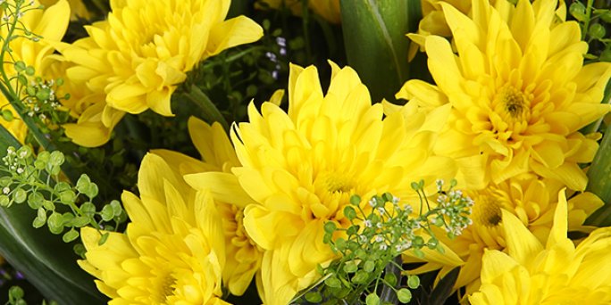 Order fresh 70th birthday flowers with delivery in Riga and all over Latvia