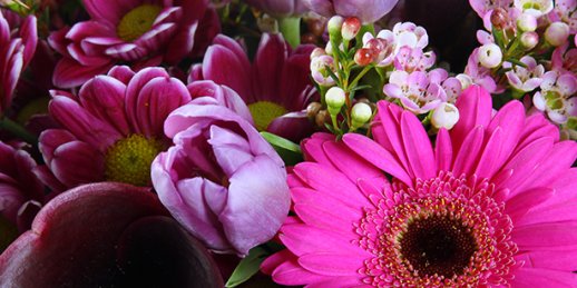 Online flower delivery cheap to the address in Riga and other Latvian cities