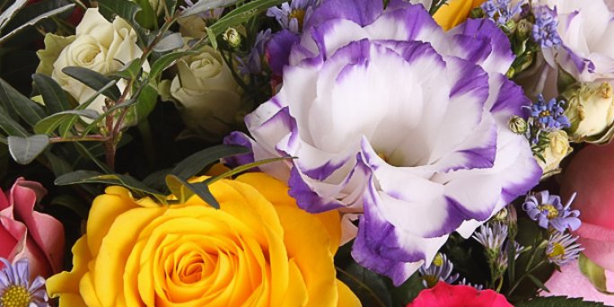 Order flowers online same day delivery all over Riga and Latvia from KROKUS