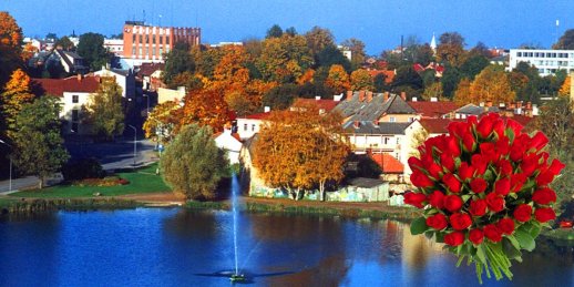 Ziedu piegāde Talsi (Latvija). Nopirkt ziedus talsos