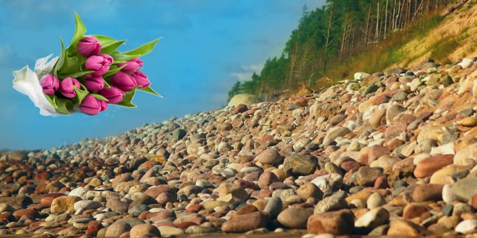 Ziedu piegāde Jūrkalne (Latvija). Nopirkt ziedus Jūrkalnē