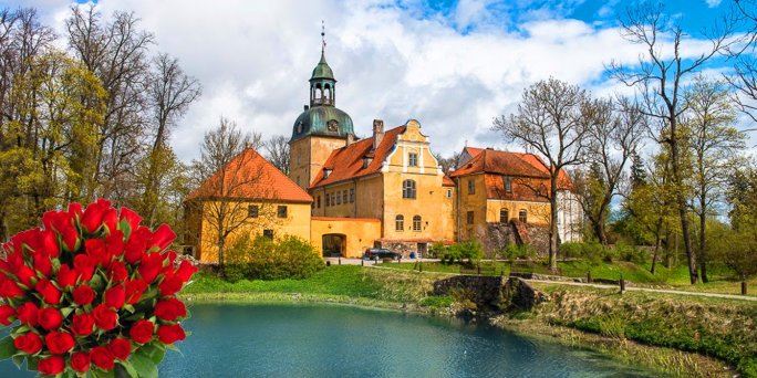 Ziedu piegāde Jaunpils (Latvija). Nopirkt ziedus Jaunpilī