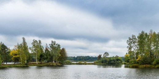 Ziedu piegāde Pļaviņas (Latvija). Nopirkt ziedus Pļaviņās