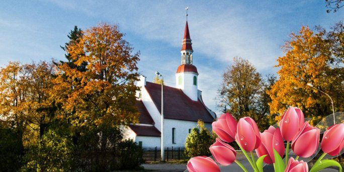 Ziedu piegāde Valka (Latvija). Nopirkt ziedus Valkā