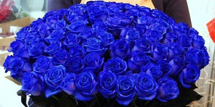 Order delivery of a bouquet of blue roses to Riga or another city of Latvia in KROKUS.
