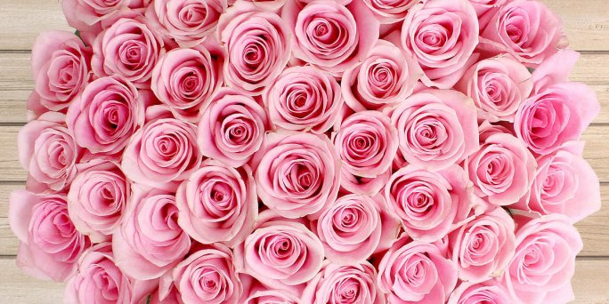 Ko nozīmē rozā rožu pušķa dāvana, kas piegādāta Rīgā (Latvija)?