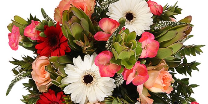 Pasūtīt ziedus Mātes dienai ar piegādi Rīgā un visā Latvijā