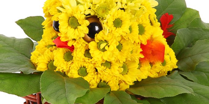 Pasūtīt lētu ziedu piegādi internetā uz adresi Rīgā un visā Latvijā