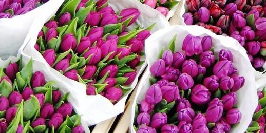 Букет цветов тюльпаны купить в Риге