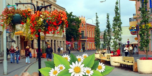 Купить цветы в Вентспилс (Латвия). Купить цветы в Вентспилсе
