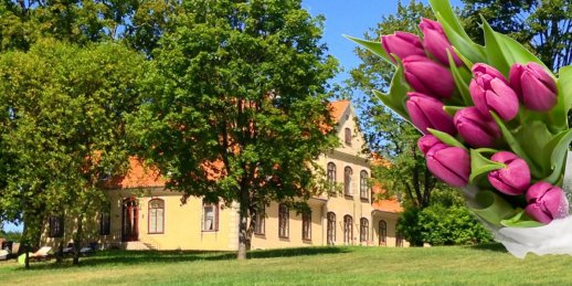 Доставка цветов Лиепупе (Латвия). Купить цветы в Лиепупе