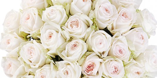 Как вручить и как купить цветы с доставкой в Риге: цветы белые розы.