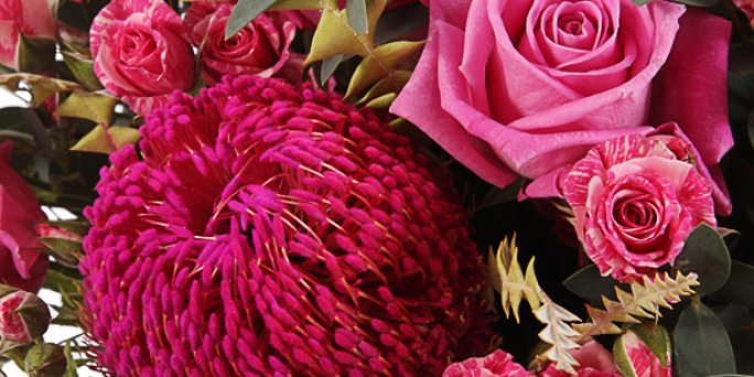 Купить цветы в Риге: Бонсай - восемь основных советов.