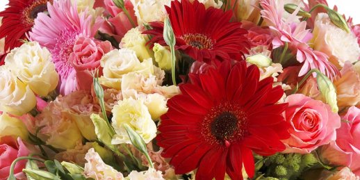 Заказать цветы в Риге: Бонсай - Точка зрения флористов.