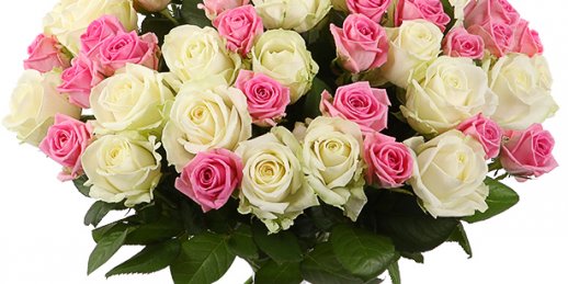 Как преподнести и как заказать цветы в Риге: букет хризантем цена riga.