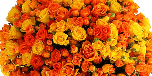 Купить цветы в Риге: Цветы на празднике - пять ключевых советов.