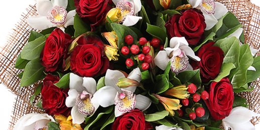 Заказать цветы в Риге: Комнатные растения - Точка зрения флористов.