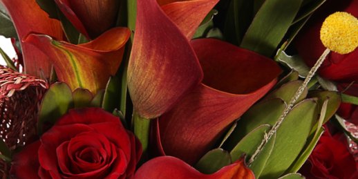 Заказ цветов Рига: Как преподнести оригинальный подарок любимой?