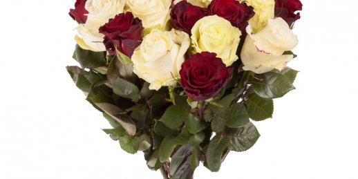 Заказ цветов Рига: Какие цветы купить возлюбленной?