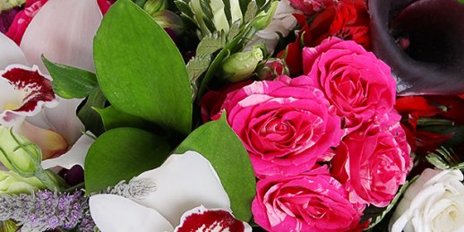Заказ цветов Рига: Как купить уникальный подарок жене?
