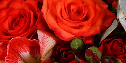 С чего начать поиск цветов в Риге: сердца из роз?