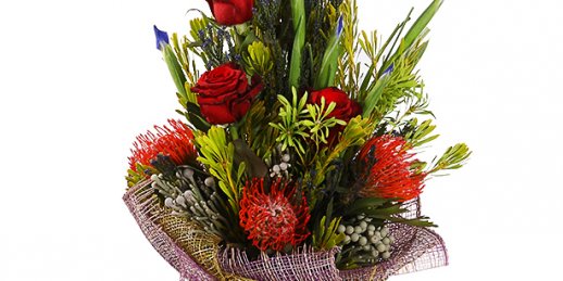 Купить цветы в Риге: Комнатные растения - Рекомендации экспертов.