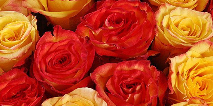 Что выбрать и как заказать цветы с доставкой в Риге: цветы для свадьбы.