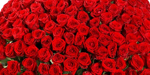 Доставка цветов Рига: букет из 21 тюльпана.