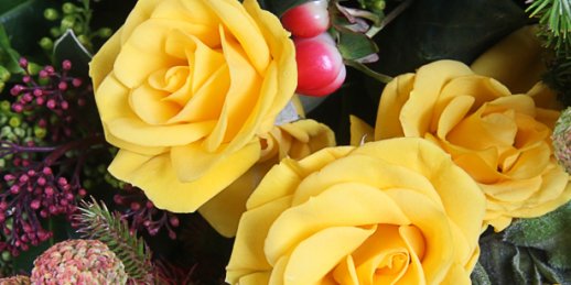Как заказать цветы в Риге: радужные розы .