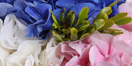 Заказ цветов Рига: самый красивый букет цветов.