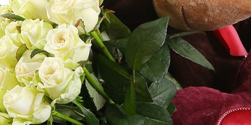 Купить цветы в Риге: Бонсай - семь профессиональных рекомендаций.