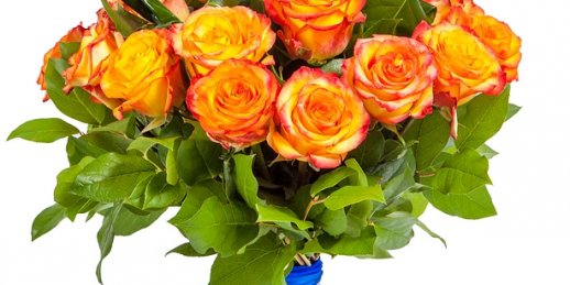 Подарок, поднимающий настроение: Как купить цветы в Риге?