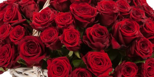 Как выбрать цветы в Риге: букет красных роз.
