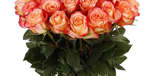 С чего начать выбор подарка в Риге: цветы мужчине?