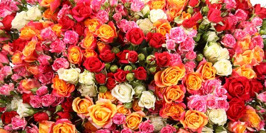 Роскошь и сила цветов: Как быстро заказать цветы в Риге?