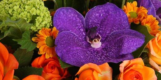 Заказать цветы в Риге: букет их орхидей.