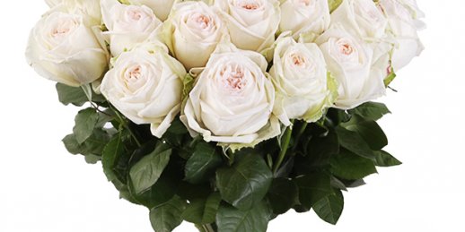 Заказ цветов Рига: радужные розы.
