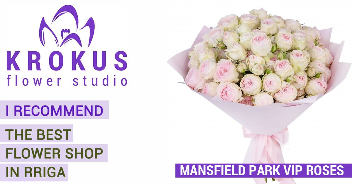 Mansfield Pink Park VIP Roses is a bouquet of fresh cut flowers. KROKUS