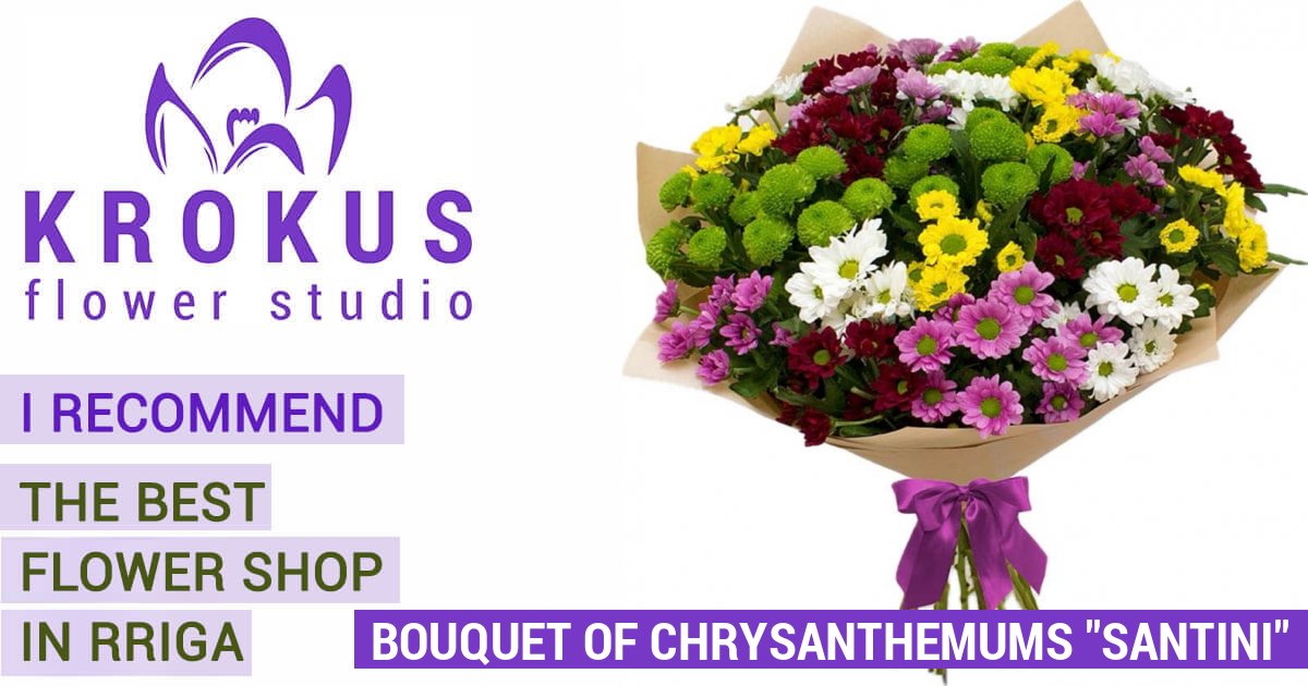 Bouquet of chrysanthemums Santini is a bouquet of fresh cut flowers