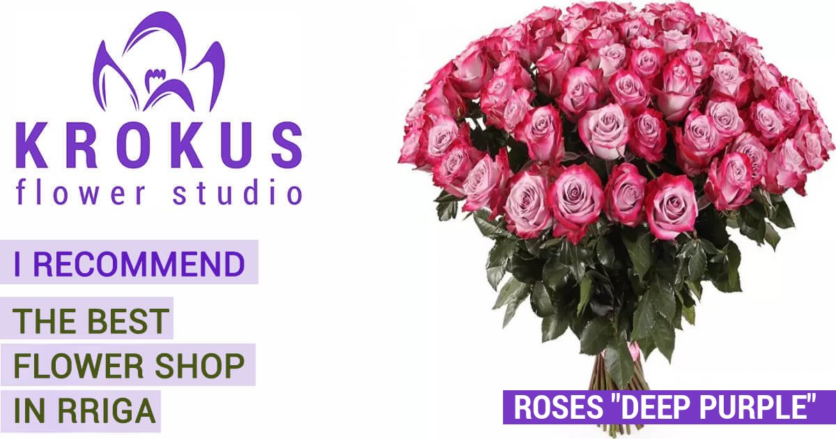 Roses ''Deep Purple is a bouquet of fresh cut flowers. KROKUS is the ...